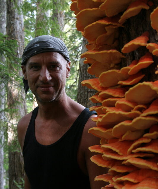 Island Resident Teaches About Mushrooms