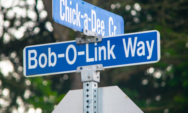 The strange street names of Nanaimo
