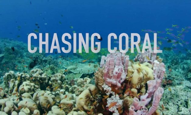 Chasing Coral showing at World VIU Days