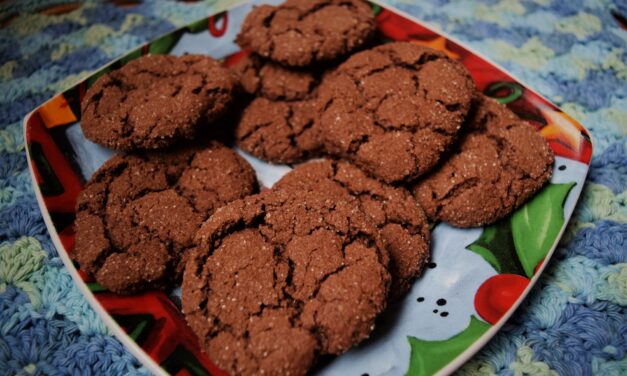 Vegan Mexican chocolate spice cookies